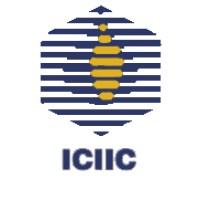 Iran Chemical Industries Investment Company ICIIC