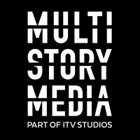 MultiStory Media