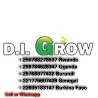 D.I Grow Seed Rwanda