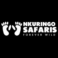 Nkuringo Safaris