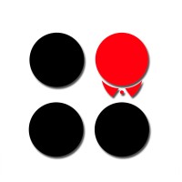 CollarFinder Management Consultancy Inc.