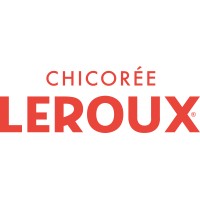 Chicorée Leroux