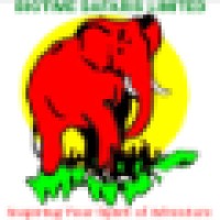 Big Time Safaris LTD