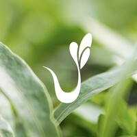 Vitro Plus BV