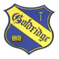 Goldridge Primary School