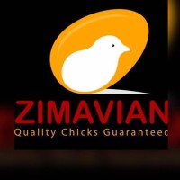 ZimAvian