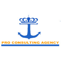 PRO CONSULTING AGENCY