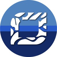 National Information Processing Institute