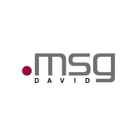 msg DAVID GmbH