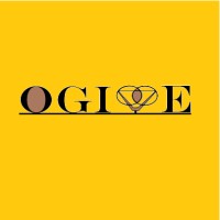 Société d'ingénierie OGIVE solution-expert