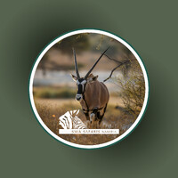 SWA Safaris Namibia