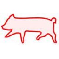 Grupo Premier Pigs
