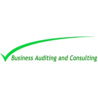 Business Auditing and Consulting