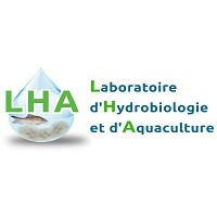 LHA