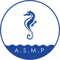 Hippocampe International