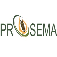 Prosema-SA