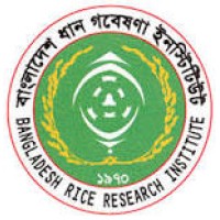 Bangladesh Rice Research Institute (BRRI)