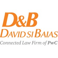 D&B David si Baias