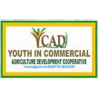 Youth in Commercial Agriculture Development