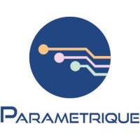 Parametrique Electronic Solutions Pvt. Ltd.