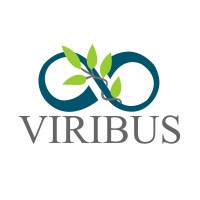 ViribusConsult