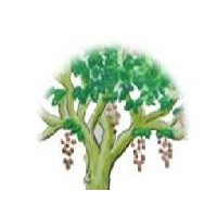 Harbu Microfinance