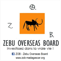 Zébu Overseas Board