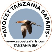 Avocet Tanzania Safaris