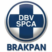 SPCA Brakpan