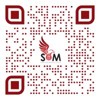 Sabela NgaMandla Security Consultants