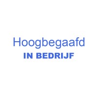Hoogbegaafd in Bedrijf B.V.