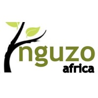 Nguzo Africa