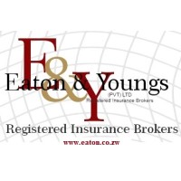 Eaton & Youngs Insurance