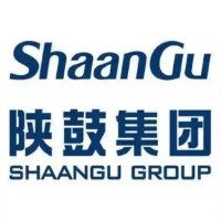 Xi'An Shaangu Power Co.,Ltd.