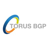 Torus BGP