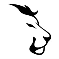 Lionz athletics