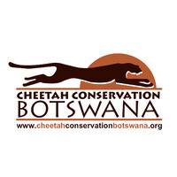 Cheetah Conservation Botswana