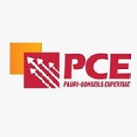 CABINET PLURI CONSEILS EXPERTISES