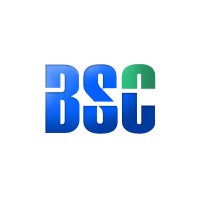 Business Spring Consulting (BSC)