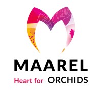 Maarel Orchids