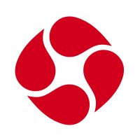 Infovision Social-  Research, Social & Digital Experience