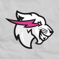 Beast Philanthropy
