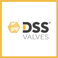 DSS Valves