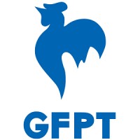 GFPT