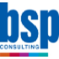 BSP Consulting Ltd