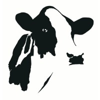 Holstein UK