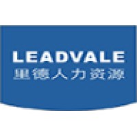 Executive Search SH Limited