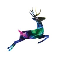 Festive Productions Ltd