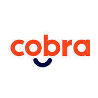 Cobra - Salesforce Partner