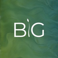 Born Global (BG)